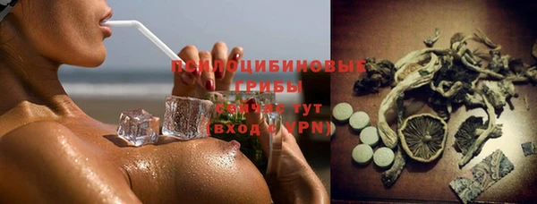 PSILOCYBIN Богданович