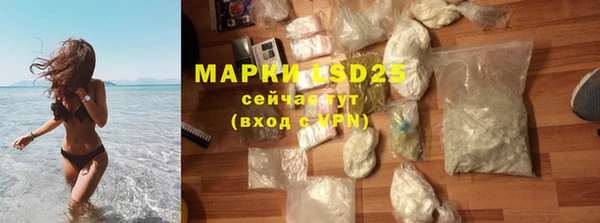 PSILOCYBIN Богданович