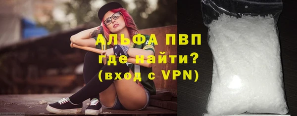 PSILOCYBIN Богданович