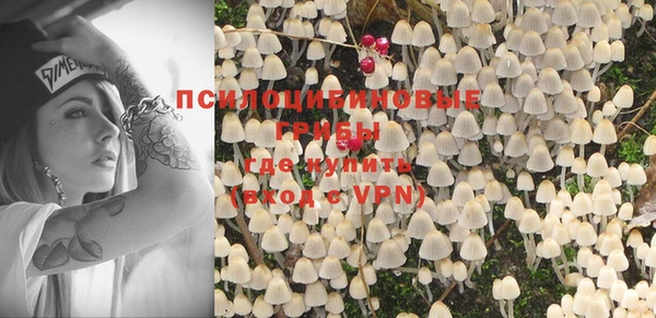 мескалин Бородино