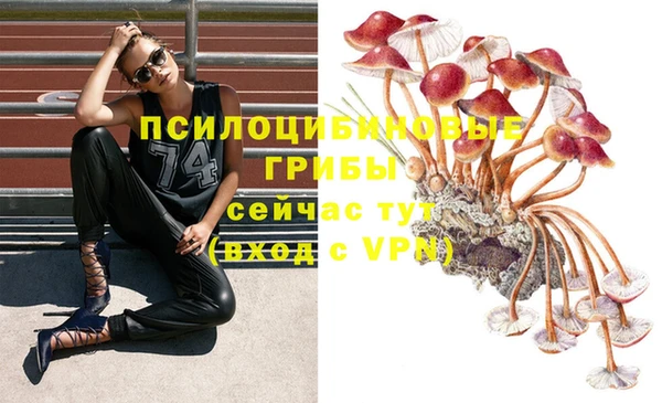 PSILOCYBIN Богданович