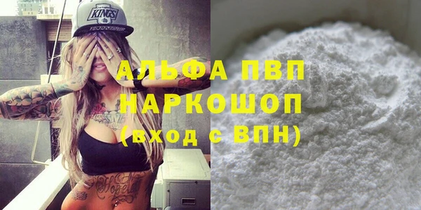 PSILOCYBIN Богданович