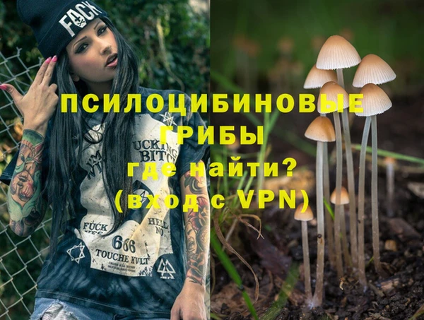 PSILOCYBIN Богданович