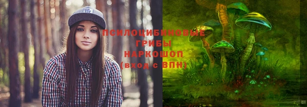 мескалин Бородино