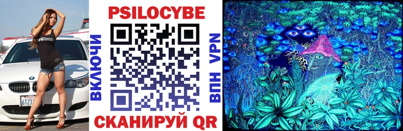 Галлюциногенные грибы Psilocybe  наркошоп  Новопавловск 